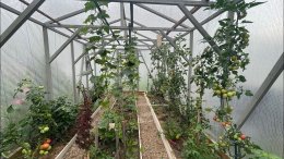 вид теплицы изнутри