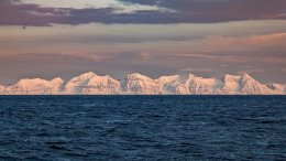 Айсберги на горизонте