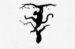 оптическая иллюзия с животными