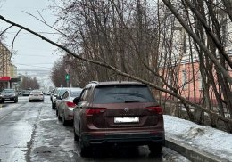 Дерево упало на машину