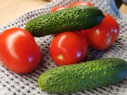 Огурцы и помидоры
