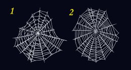 две паутины