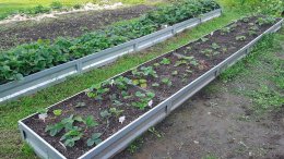 приподнятые грядки клубники