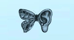 бабочка в виде уха