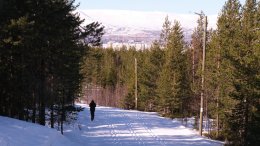 Весна в Мурманской области