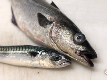 Свежая рыба