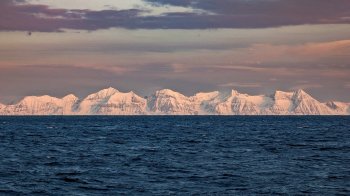 Айсберги на горизонте