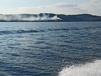 Лесной пожар в Мурманской области