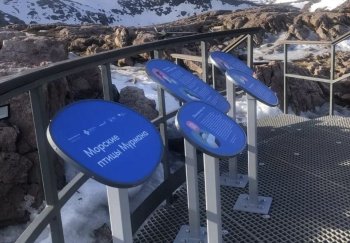 Смотровые площадки в Териберке.