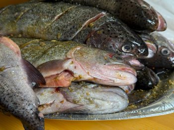 Форель на тарелке