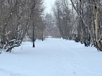 Сквер зимой