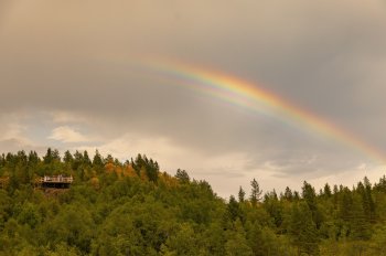 Лес и радуга летом.