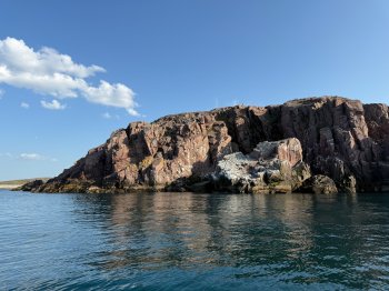 Птичий базар в Териберке.