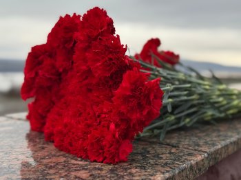 Гвоздики на гранитной плите