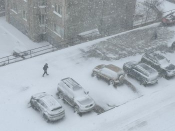 Человек идёт по тротуару во время метели