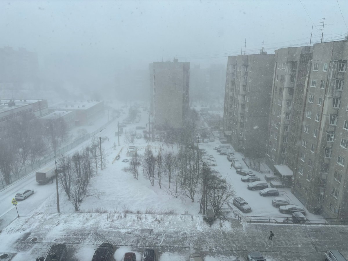 Заснеженный двор в метель