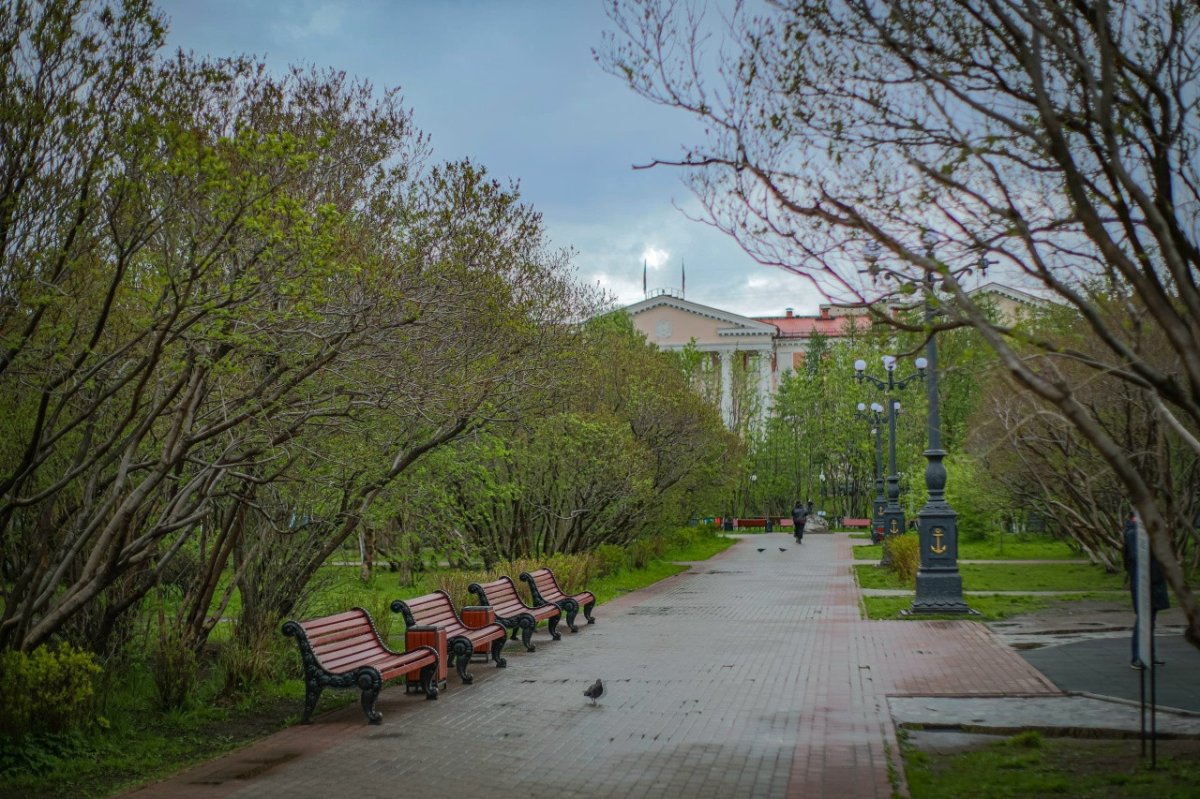 Центр Мурманска.