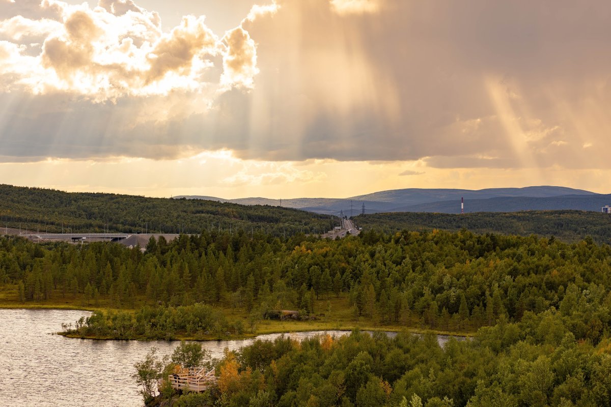 природа в Мурманске