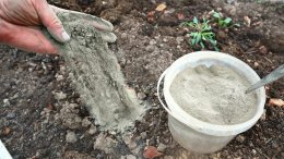 Огородник удобряет почву золой