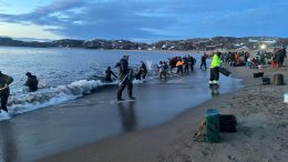 Рыбаки ловят мойву у берега в Териберке