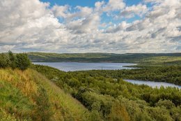 Озеро в лесу