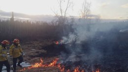 Лесной пожар в Мурманской области