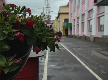 Вазон с цветами на улице Мурманска