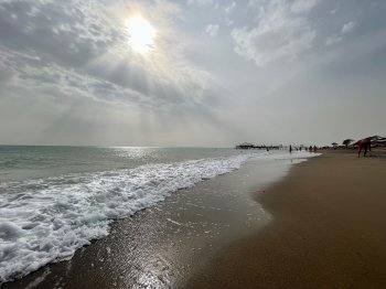Берег моря.