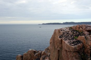 Вид на Баренцевом море с берега