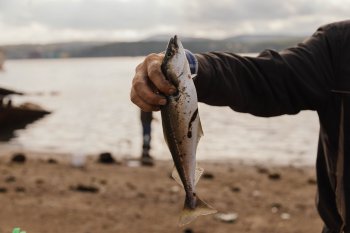 Рыбалка в Мурманске.