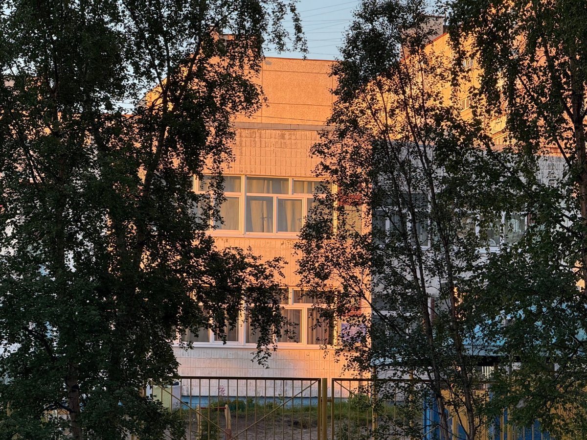 Здание в листве деревьев.