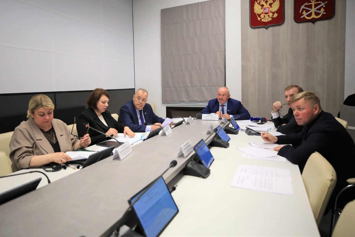Заседание комитета в Мурманской областной думе