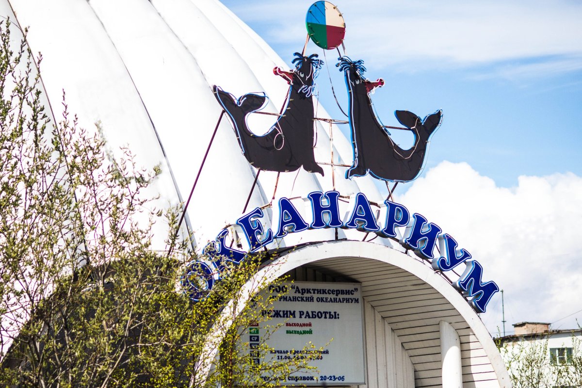 Мурманский океанариум