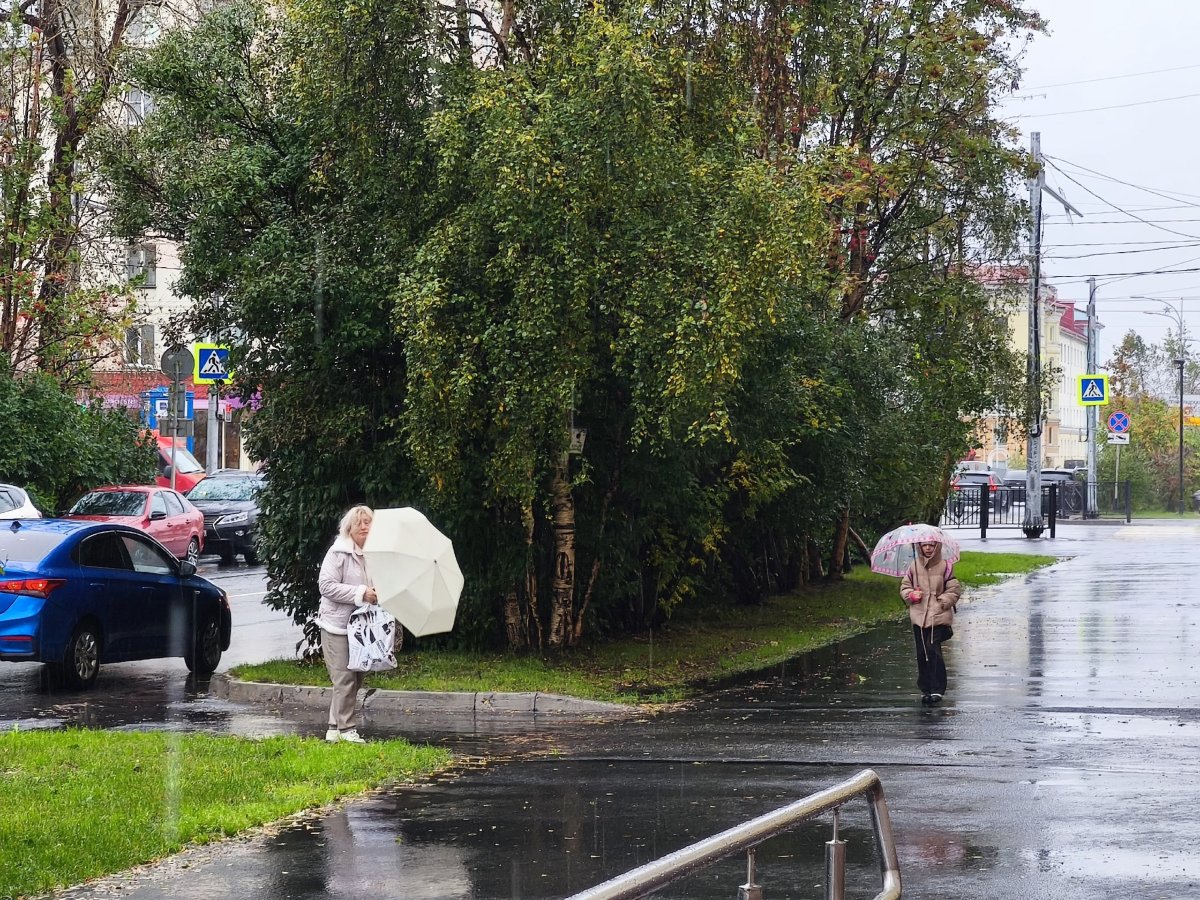 Дождливая погода в Мурманске