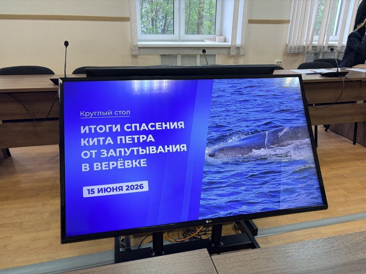 Фото с конференции.