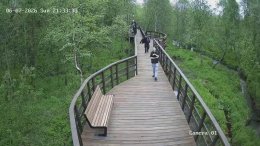 Молодые люди на территории парка ручья Чистого в Мурманске