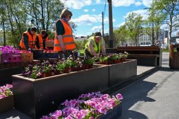 Юные северяне работают во время летних каникул в Мурманске