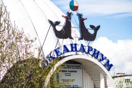 Мурманский океанариум