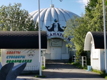Мурманский океанариум