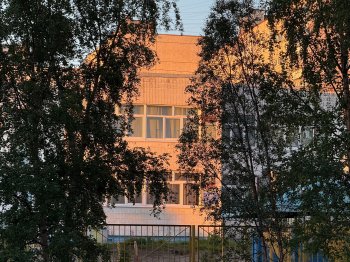 Здание в листве деревьев.