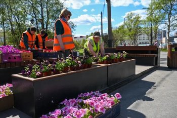 Юные северяне работают во время летних каникул в Мурманске