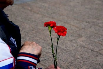 Две гвоздики в руках.