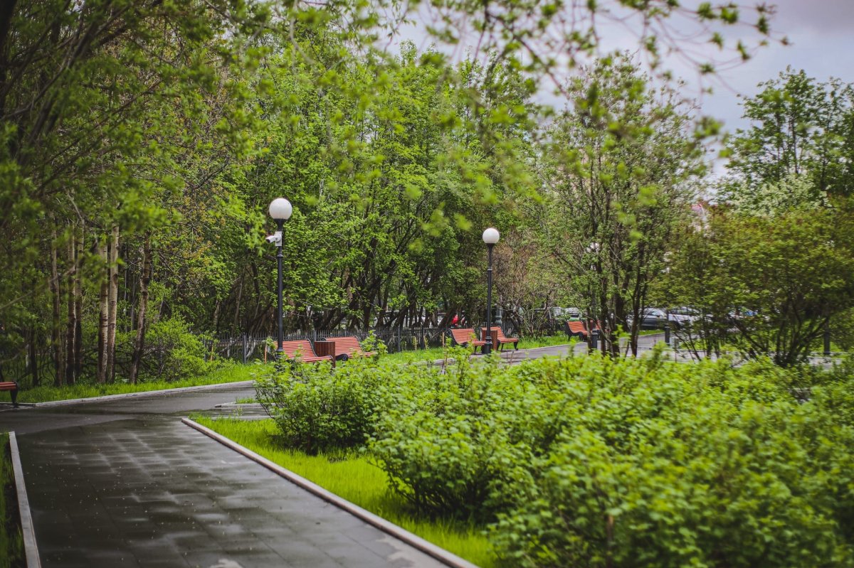 Парк в Мурманске