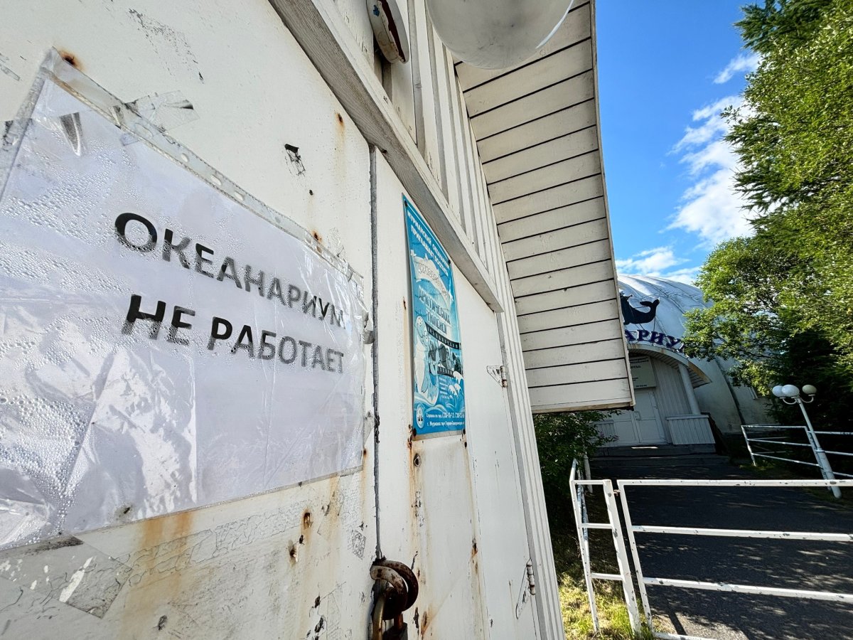 Мурманский океанариум не работает