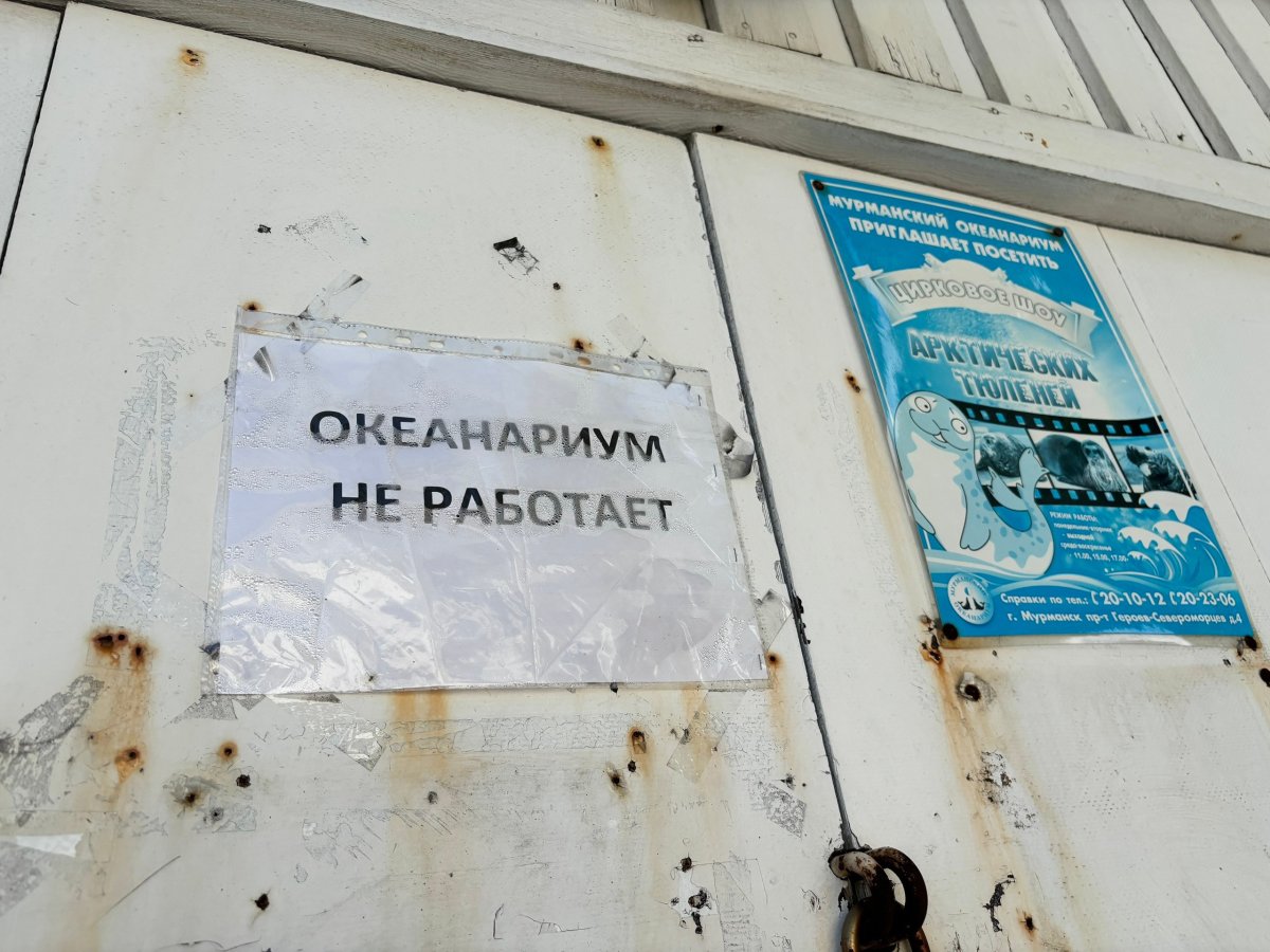 Мурманский океанариум.