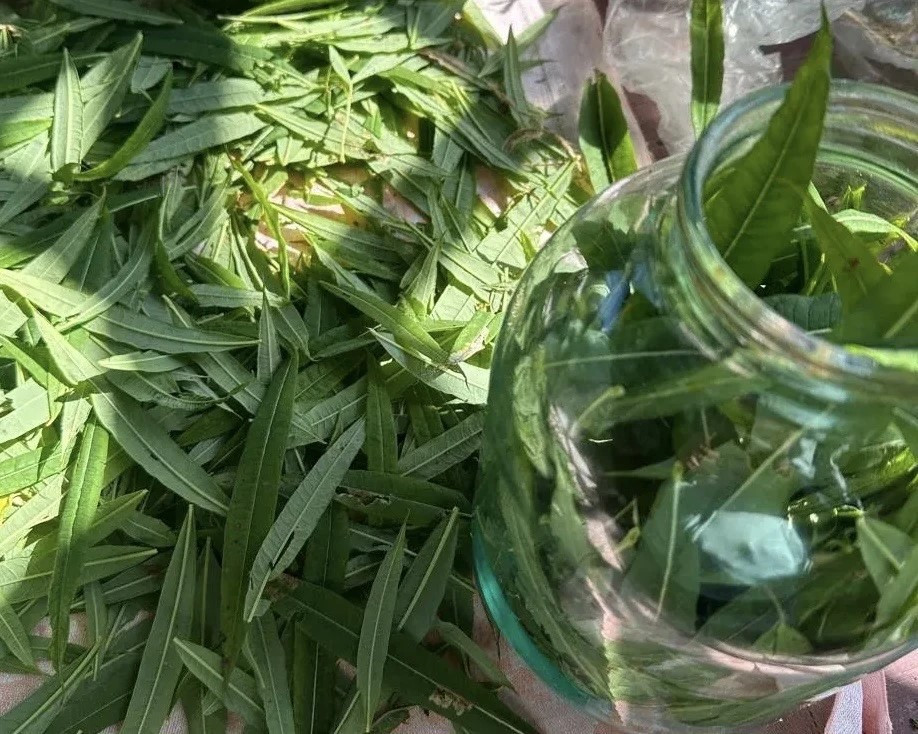 Чай своими руками.