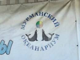 Мурманский океанариум.