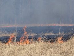 горящая сухая трава