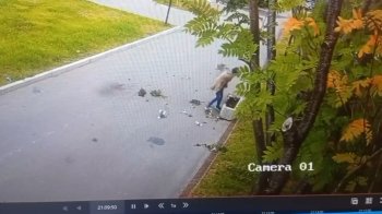 вандализм
