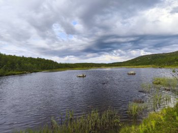 Природа в Мурманской области